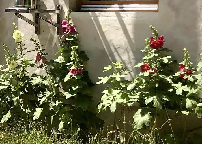Auf Dem Land, Haus Hans Stepha *